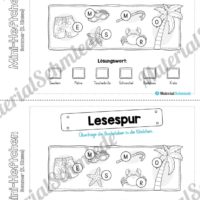 Mini-Heft: Sommer für die 2. Klasse (Lesespur)