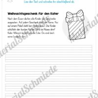 10 Abschreibtexte zu Weihnachten (Weihnachtsgeschenk für den Kater)