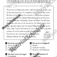 Weihnachten: Lesen & Verstehen mit Ankreuzen (Vorschau 09)