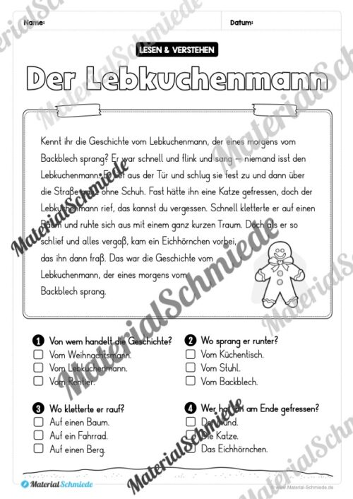 Weihnachten: Lesen & Verstehen mit Ankreuzen (Vorschau 10)