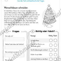 10 Leseübungen zu Weihnachten (Lesetext mit Fragen)