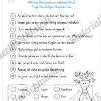 Materialpaket Weihnachten: 25 Arbeitsblätter (Blitzlesen)