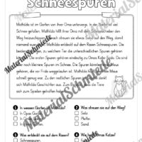 Winter: Lesen & Verstehen mit Ankreuzen (Vorschau 05)