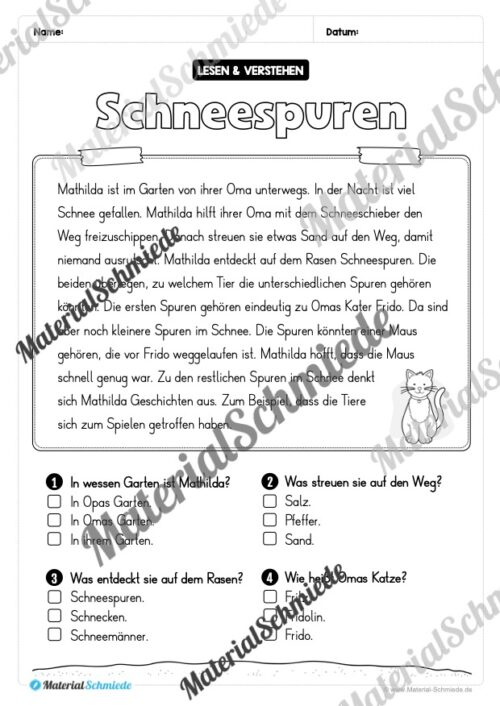 Winter: Lesen & Verstehen mit Ankreuzen (Vorschau 05)