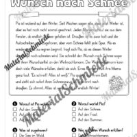 Winter: Lesen & Verstehen mit Ankreuzen (Vorschau 06)
