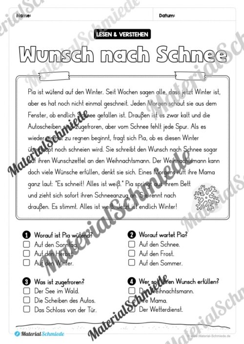 Winter: Lesen & Verstehen mit Ankreuzen (Vorschau 06)