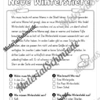 Winter: Lesen & Verstehen mit Ankreuzen (Vorschau 07)