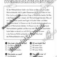 Winter: Lesen & Verstehen mit Ankreuzen (Vorschau 08)