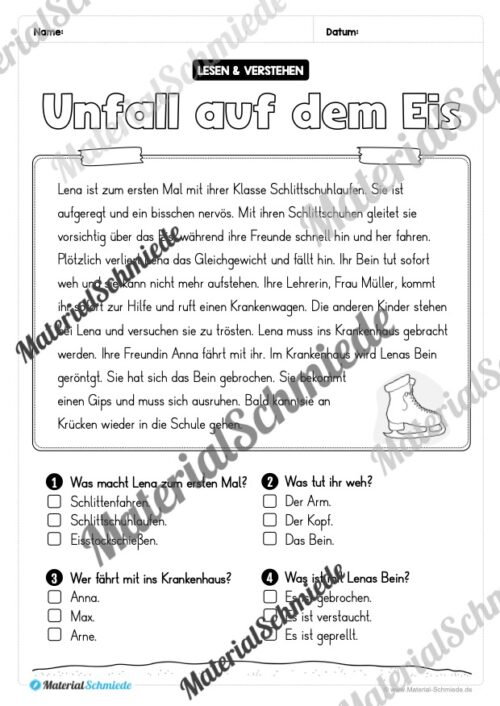Winter: Lesen & Verstehen mit Ankreuzen (Vorschau 09)