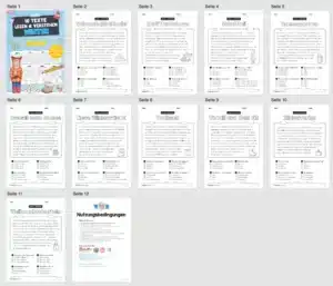 Winter: Lesen & Verstehen mit Ankreuzen (Überblick)