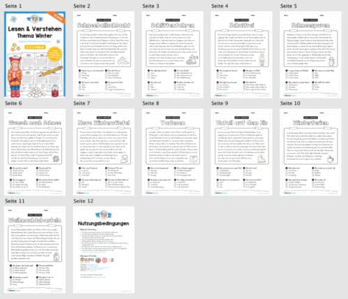 Winter: Lesen & Verstehen mit Ankreuzen (10 Arbeitsblätter) - Überblick