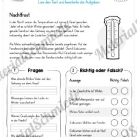 10 Lesetexte zum Winter (Nachtfrost)