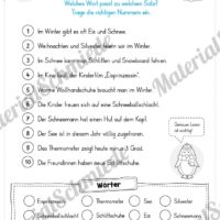 10 Leseübungen zum Winter (Blitzlesen)