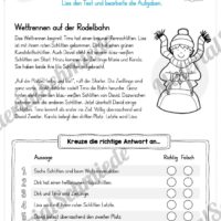10 Leseübungen zum Winter (richtig oder falsch)