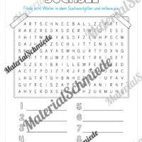 Materialpaket Winter: 3. Klasse (Vorschau 15)