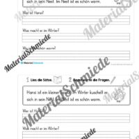 Mini-Heft: Lesetexte Winter (Vorschau 03)