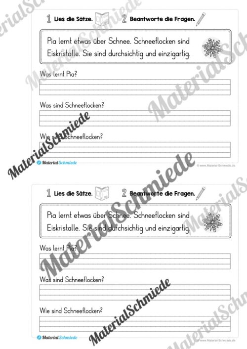 Mini-Heft: Lesetexte Winter (Vorschau 05)