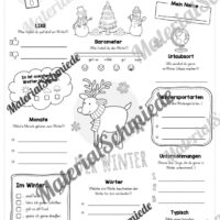 12 Steckbriefe zum Winter (Vorschau 11)