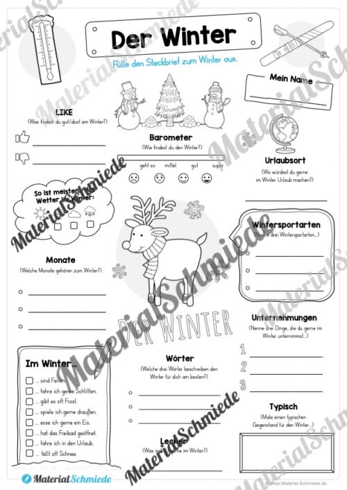 12 Steckbriefe zum Winter (Vorschau 11)
