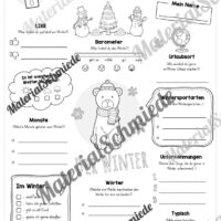 12 Steckbriefe zum Winter (Vorschau 12)