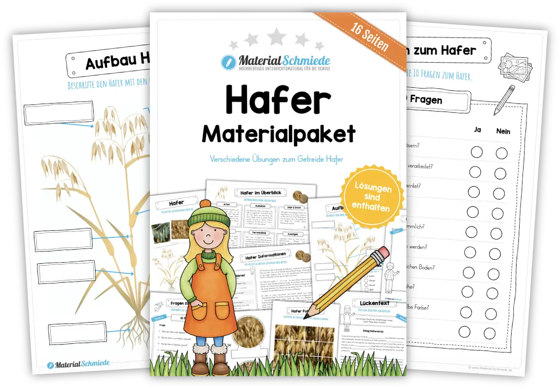 Unterrichtsmaterial Hafer - Arbeitsblätter und Übungen (3. & 4. Klasse)
