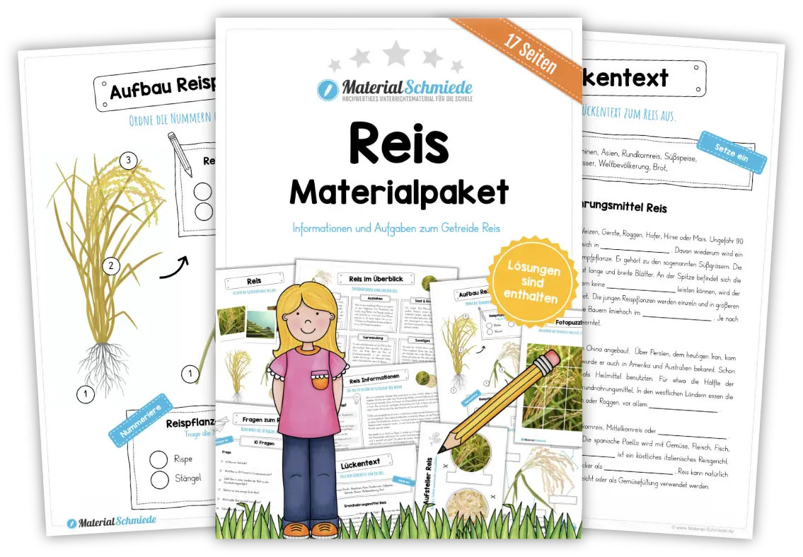 Unterrichtsmaterial Reis - Arbeitsblätter und Übungen (3. & 4. Klasse)