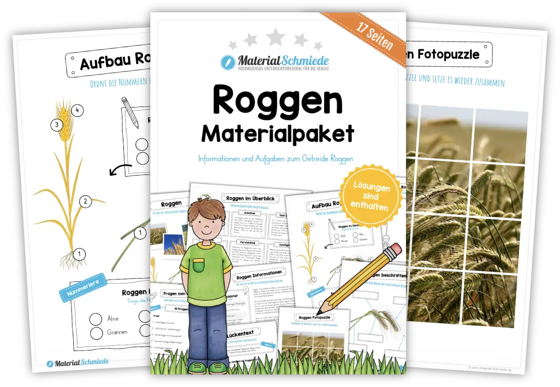 Unterrichtsmaterial Roggen - Arbeitsblätter und Übungen (3. & 4. Klasse)