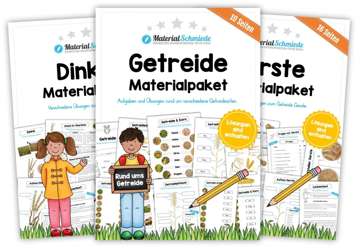 Unterrichtsmaterial Getreide - Arbeitsblätter und Übungen (3. & 4. Klasse)