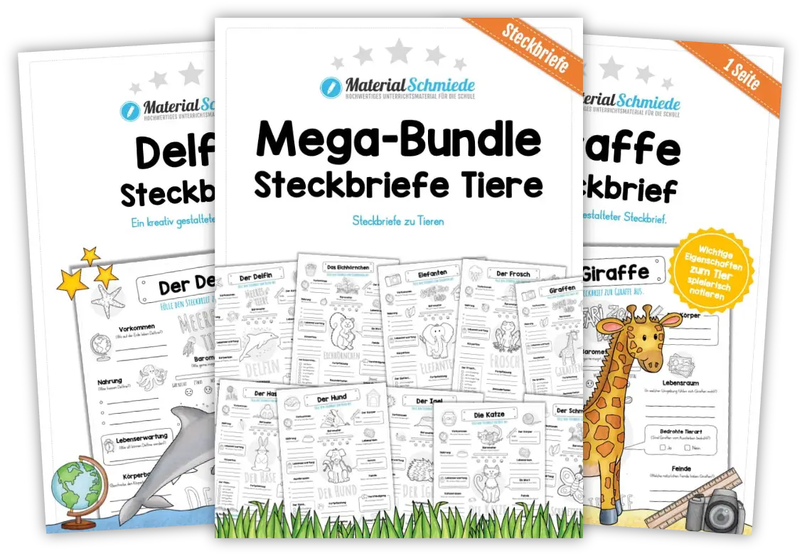 Unterrichtsmaterial Tiere - Arbeitsblätter und Übungen (2. - 4. Klasse)