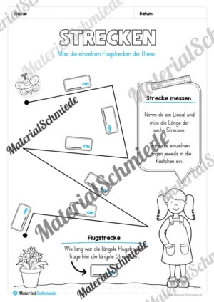 Längen Arbeitsheft: Messen (2. & 3. Klasse) – Arbeitsblatt 06