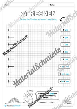Längen Arbeitsheft: Messen (2. & 3. Klasse) – Arbeitsblatt 13
