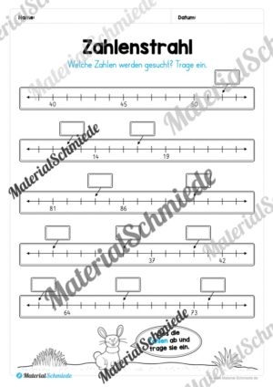 Mathe 2. Klasse: Wiederholungsaufgaben (Vorschau 14)