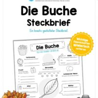 Steckbrief Buche