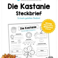 Steckbrief Kastanie