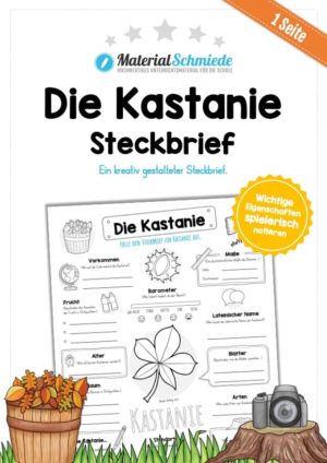 Steckbrief Kastanie