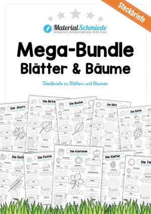 Mega-Bundle: Steckbriefe Blätter & Bäume