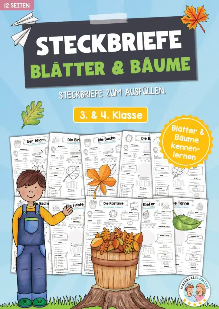 Steckbriefe Blätter / Bäume (12 Steckbriefe)