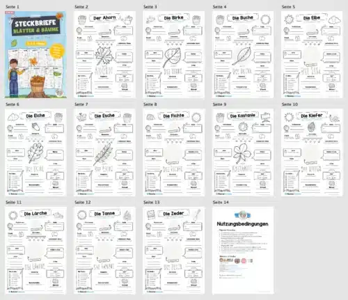 Steckbriefe Blätter / Bäume (12 Steckbriefe)