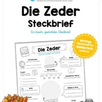 Steckbrief Zeder