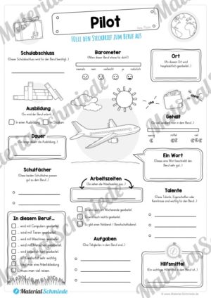 Steckbrief Pilot (Vorschau)