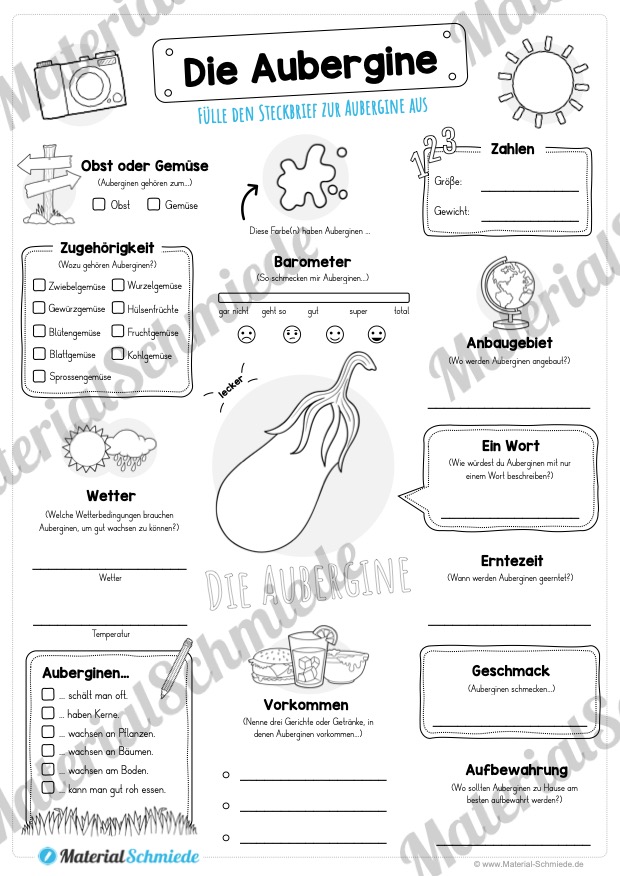 Steckbrief Aubergine (Vorschau)