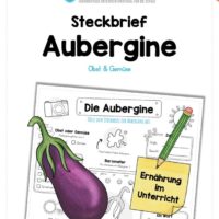 Steckbrief Aubergine