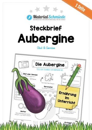 Steckbrief Aubergine