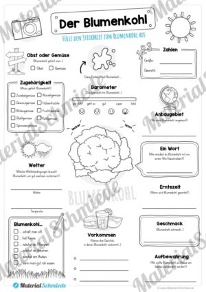 Steckbrief Blumenkohl (Vorschau)