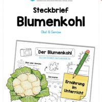 Steckbrief Blumenkohl