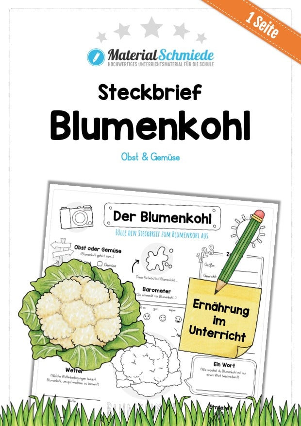Steckbrief Blumenkohl