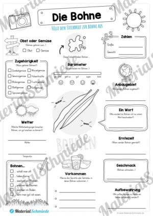 Steckbrief Bohne (Vorschau)