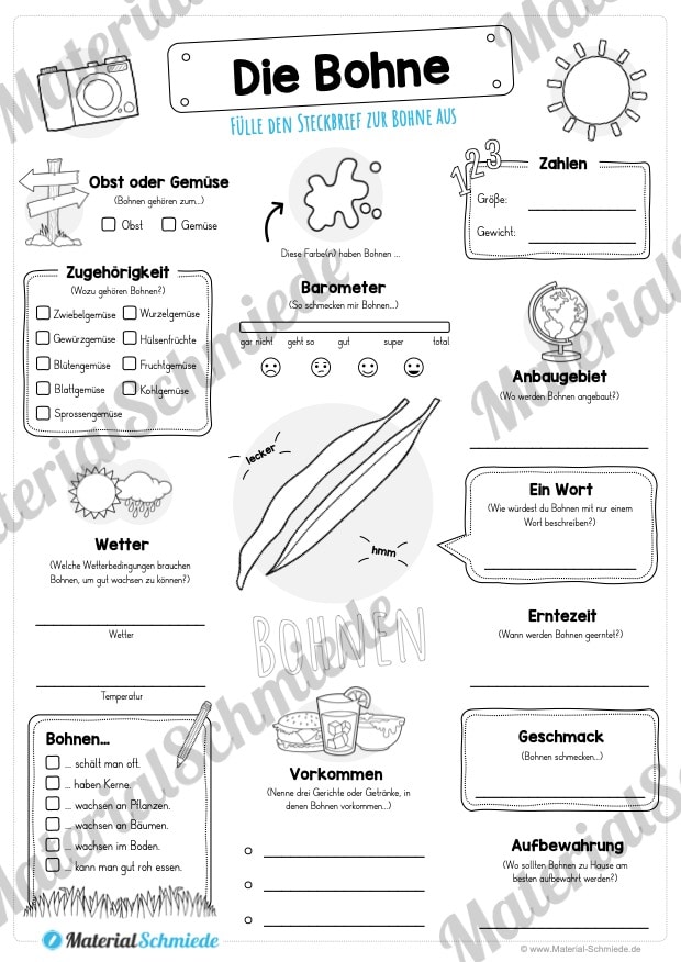 Steckbrief Bohne (Vorschau)