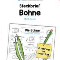 Steckbrief Bohne