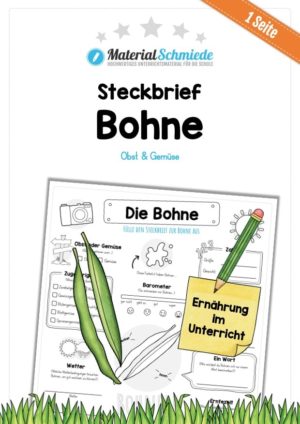 Steckbrief Bohne
